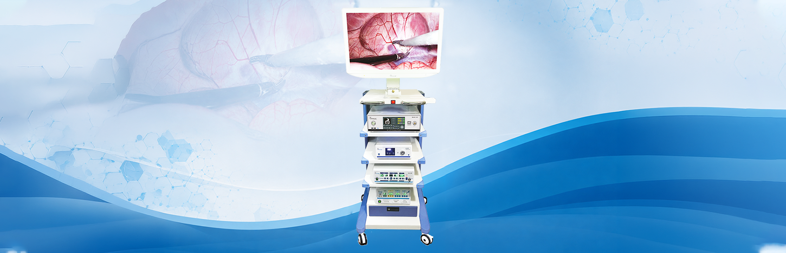 web banner1